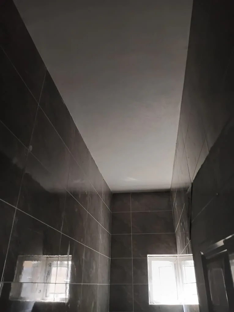 Bathroom tiling, fixtures and sanitary-space finishing. View 01.
